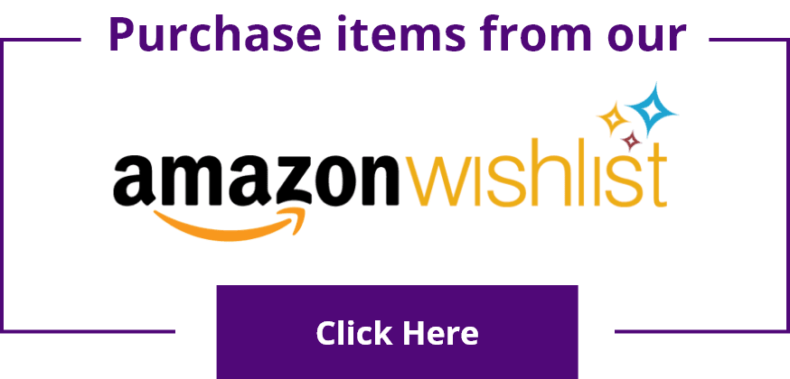 purchase items from our amazon wishlist